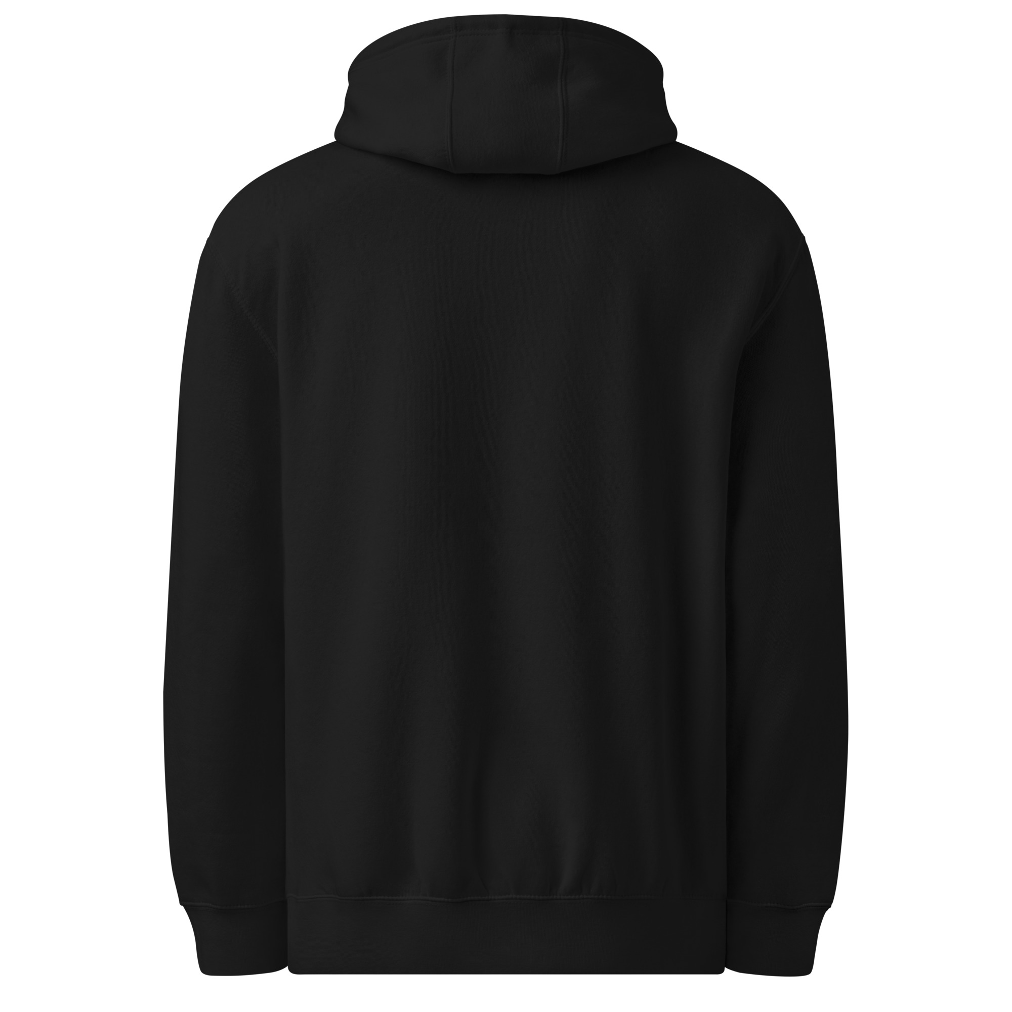 unisex-premium-mid-weight-hoodie-black-back-691e2ae6377fc.jpg